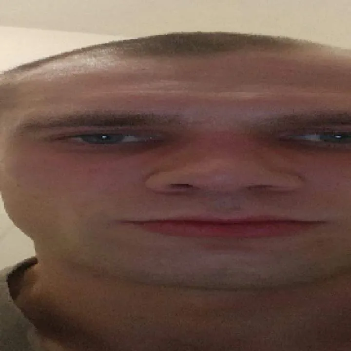 Wolf........ Photo On Jungo Live