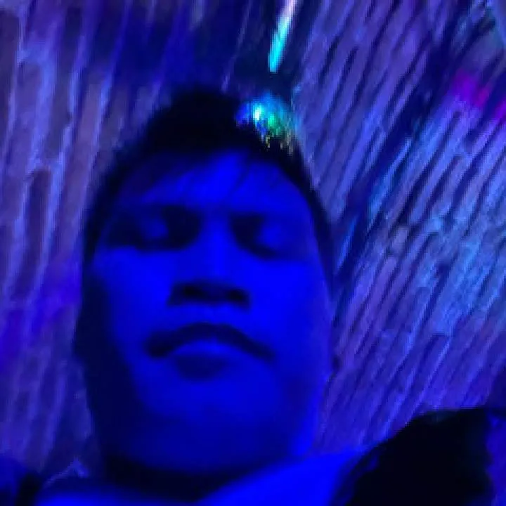 Pingouin Photo On Jungo Live