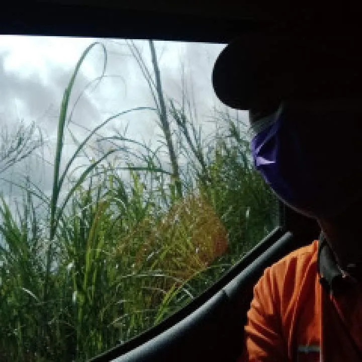 Jeff Photo On Jungo Live