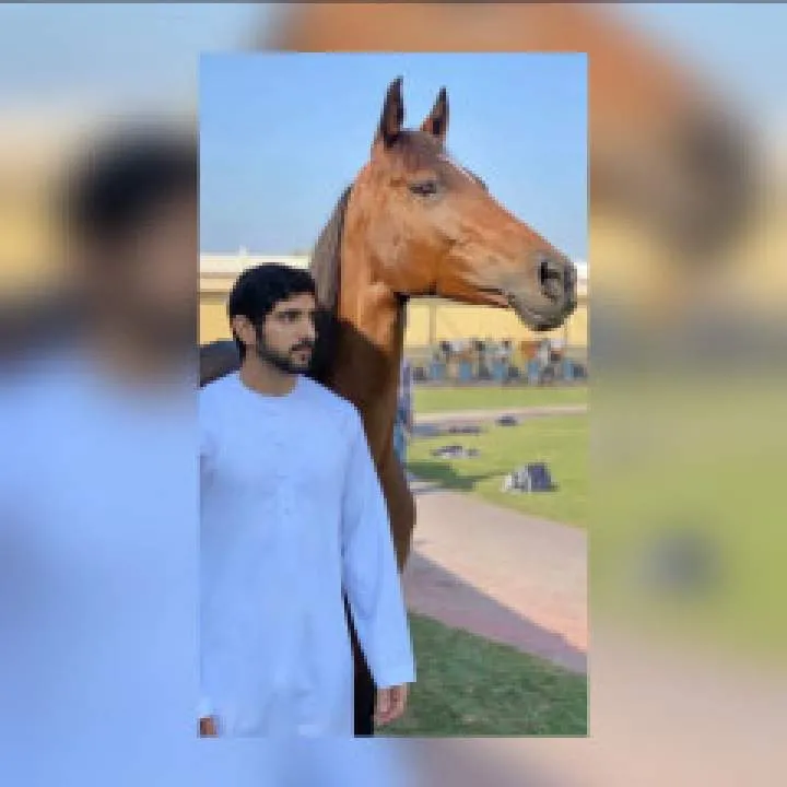 Fazza Photo On Jungo Live