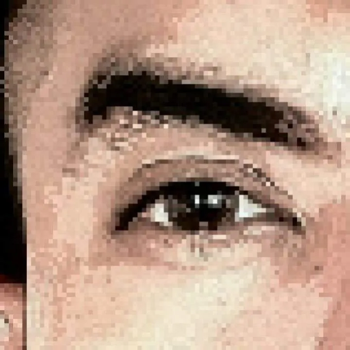 Wick Photo On Jungo Live