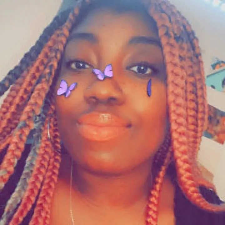 Kitten Photo On Jungo Live