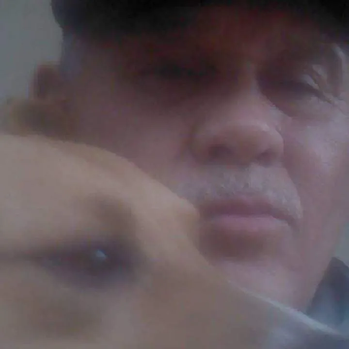 T Photo On Jungo Live