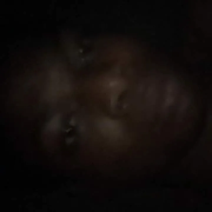 Ayomide Photo On Jungo Live