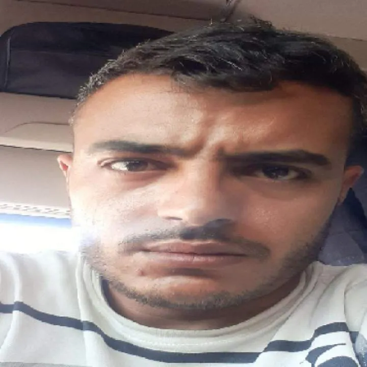 Fox Photo On Jungo Live