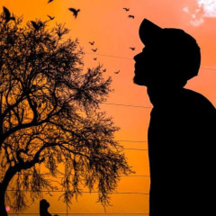 Ahmed Farooqi Photo On Jungo Live