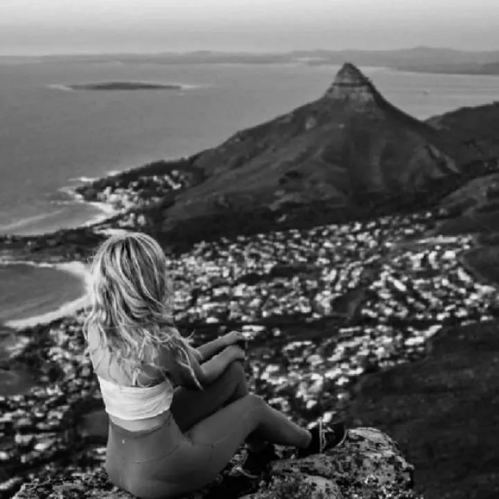 Cat Photo On Jungo Live