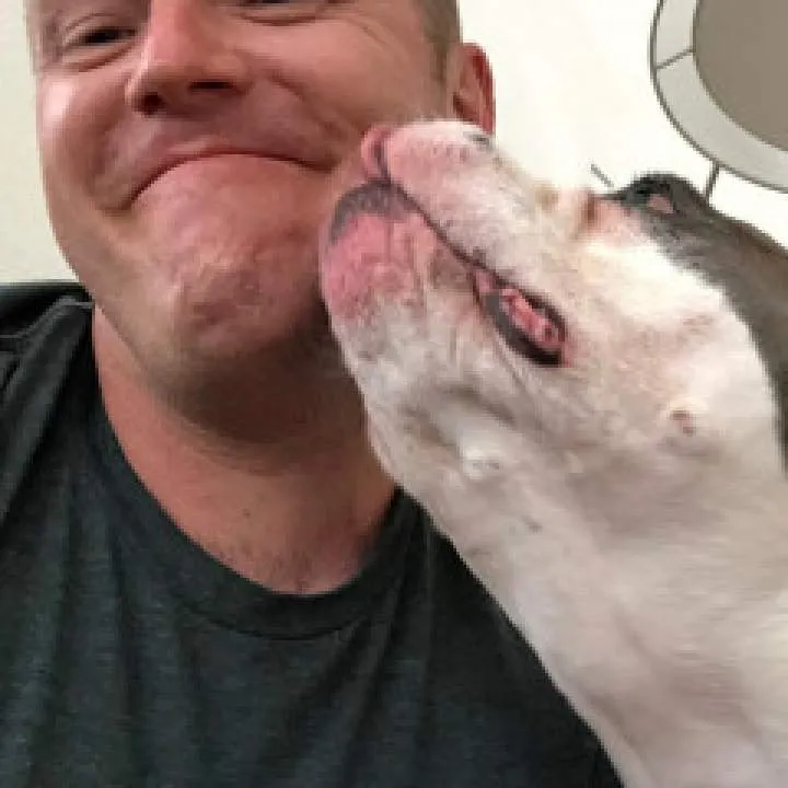 Zhj Photo On Jungo Live