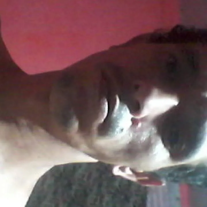 Denis Photo On Jungo Live