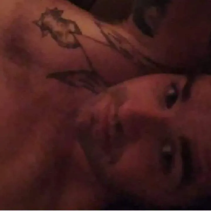 Mule Photo On Jungo Live