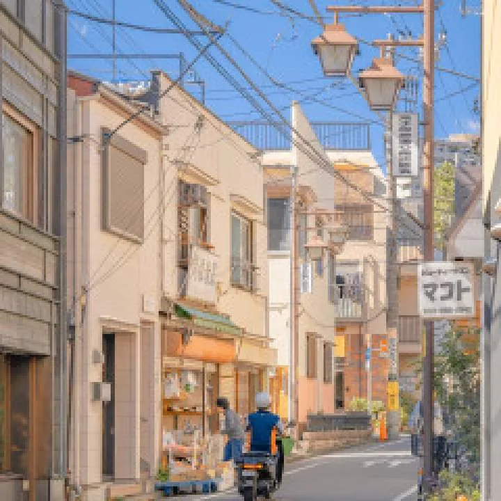 Tom Photo On Jungo Live