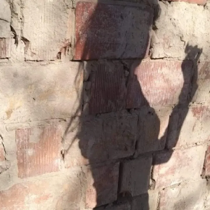 Pupush Photo On Jungo Live