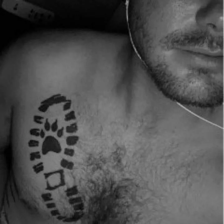 Colt Photo On Jungo Live