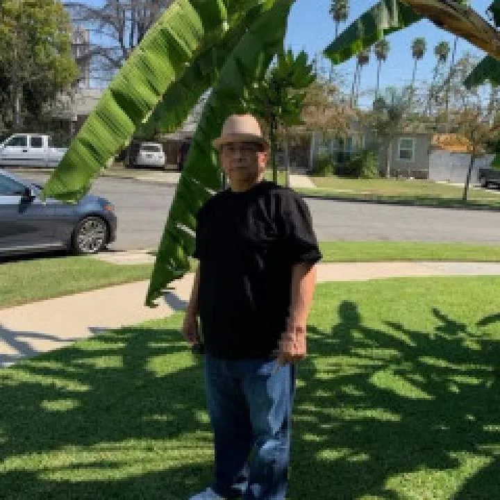 Rokok Photo On Jungo Live