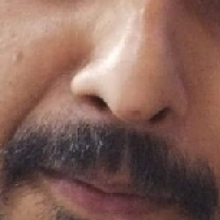 Dsa Photo On Jungo Live