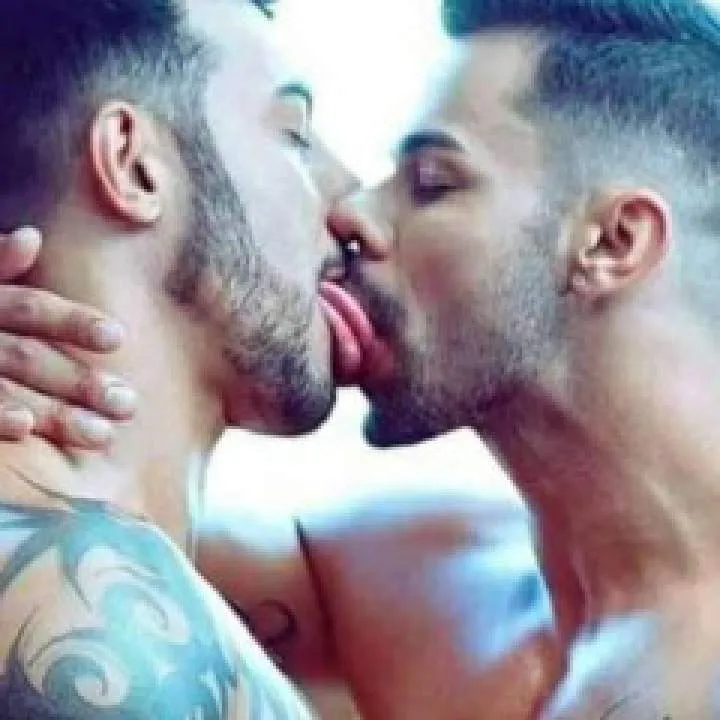 Hf High Photo On Jungo Live