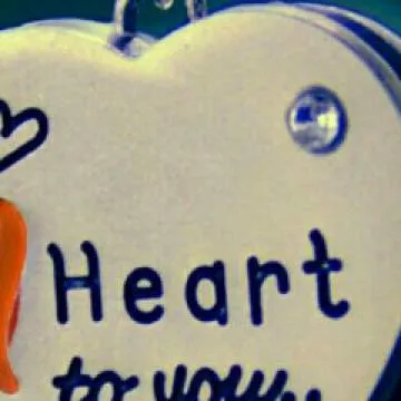 Kokou Photo On Jungo Live