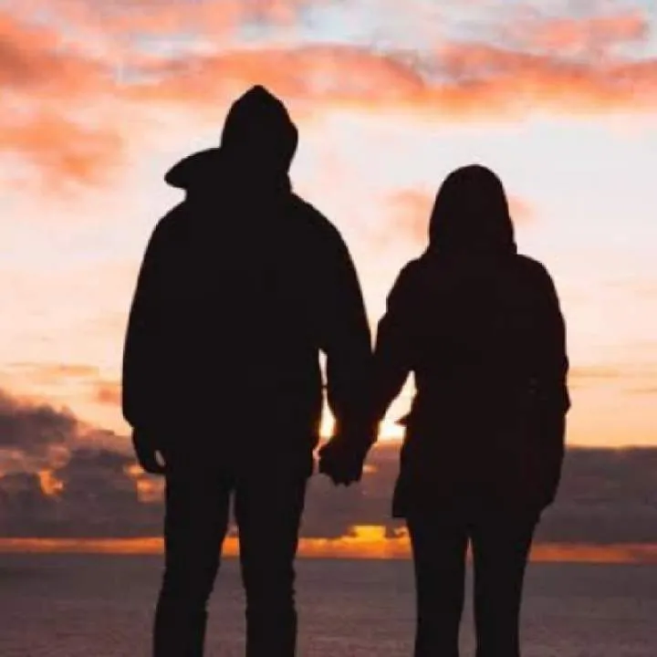 Strawberry Photo On Jungo Live