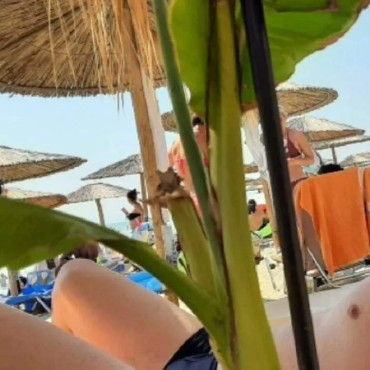 Samojako Photo On Jungo Live