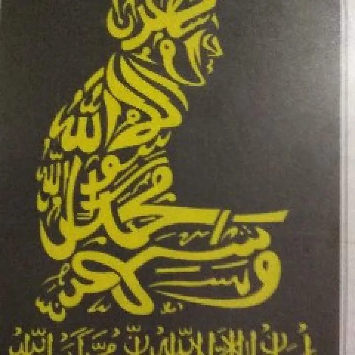 Trydoe Photo On Jungo Live