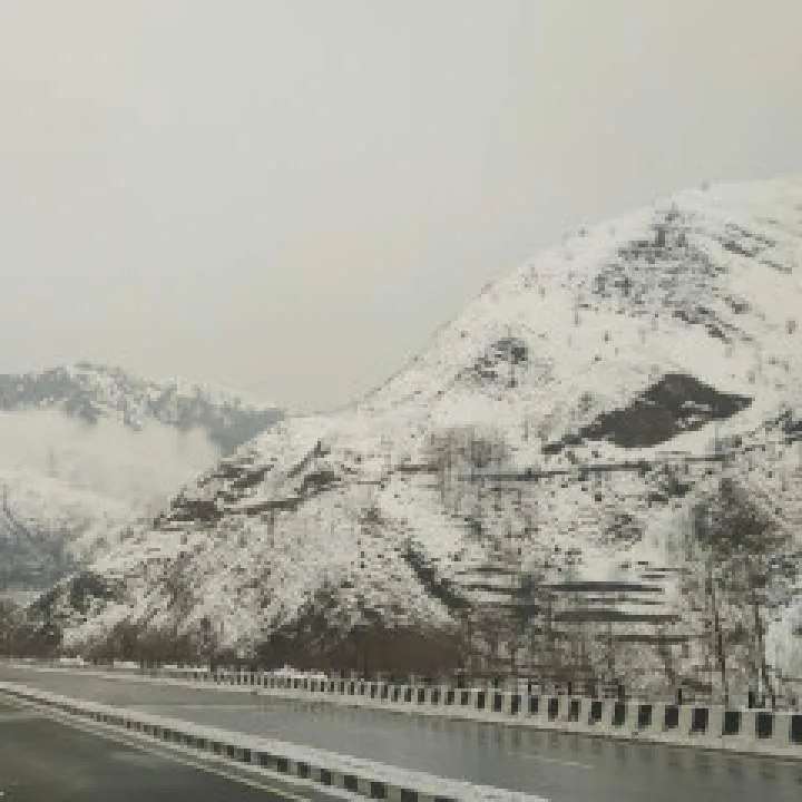 Shalu Photo On Jungo Live