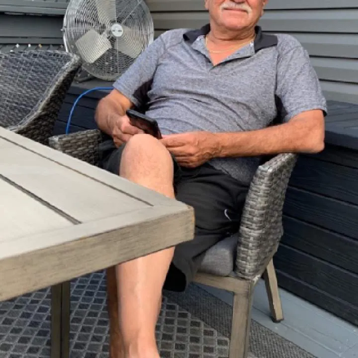 Little Fox Photo On Jungo Live