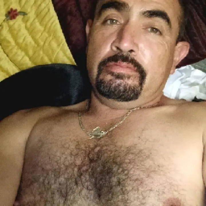 Vervo Photo On Jungo Live