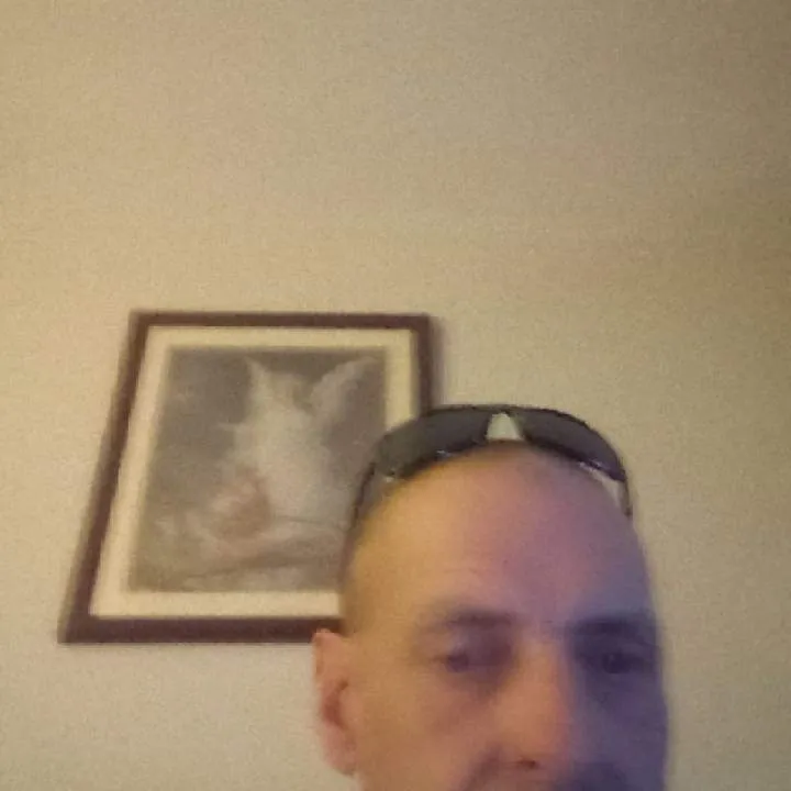 Steve O Photo On Jungo Live