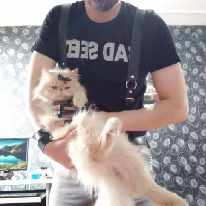 Mightysado Photo On Jungo Live