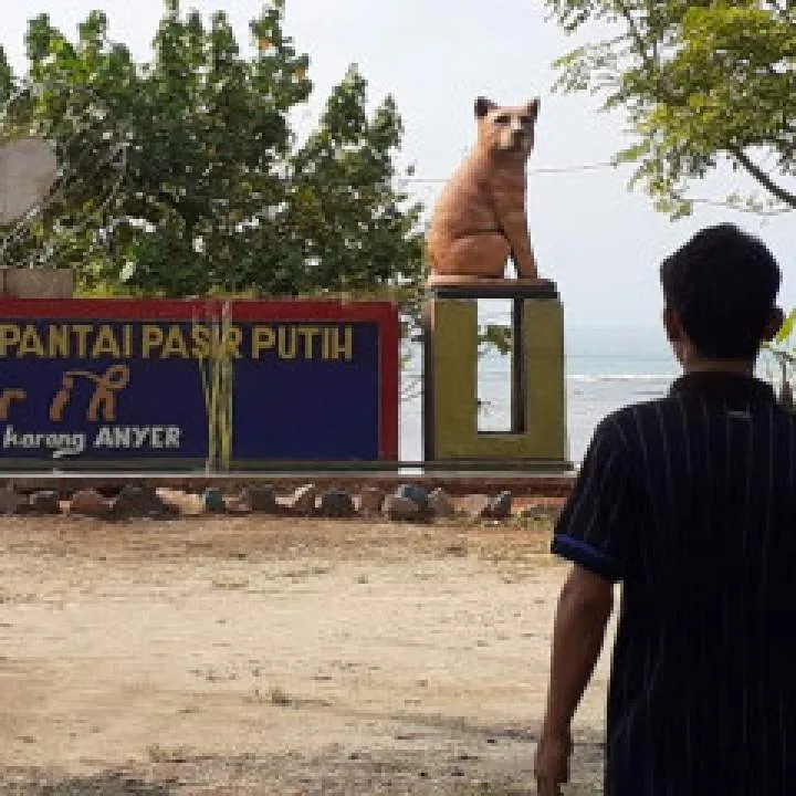 Dani Photo On Jungo Live