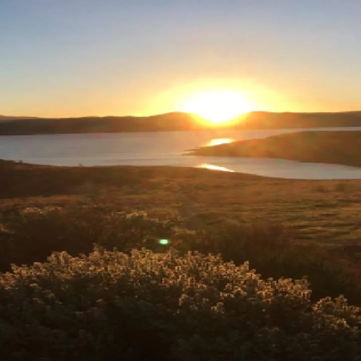 Elarenas75 Photo On Jungo Live