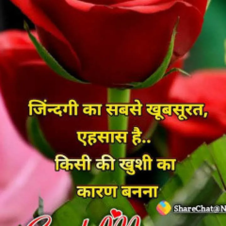 Mehar Photo On Jungo Live