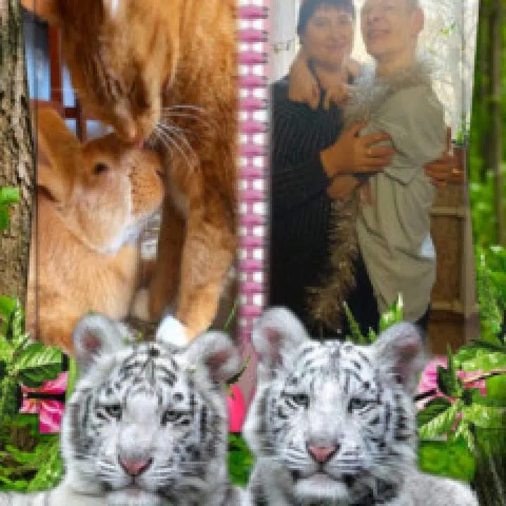 АлексЕйю#Алёнушку Photo On Jungo Live