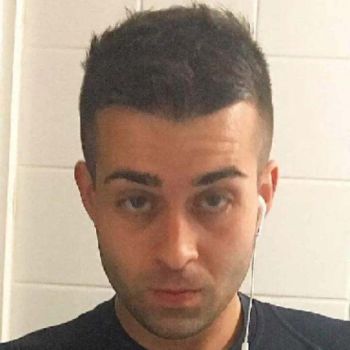 Maltese Falcon Photo On Jungo Live