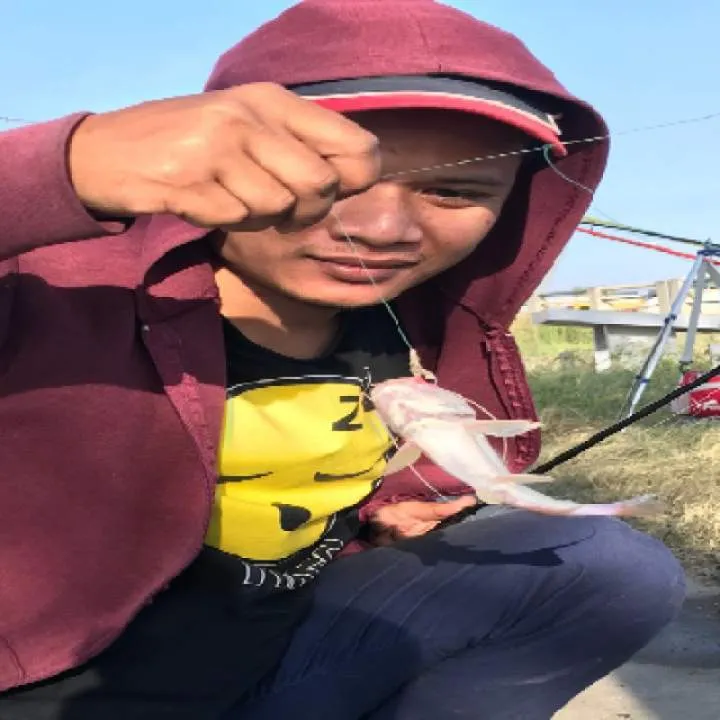 Lixin Photo On Jungo Live