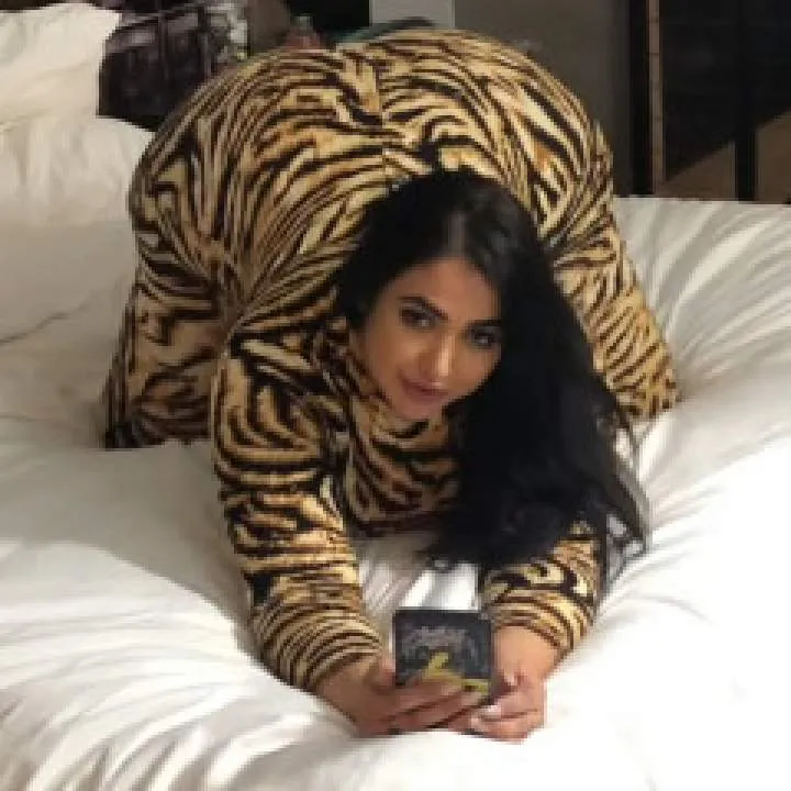 Honey Bunny Photo On Jungo Live