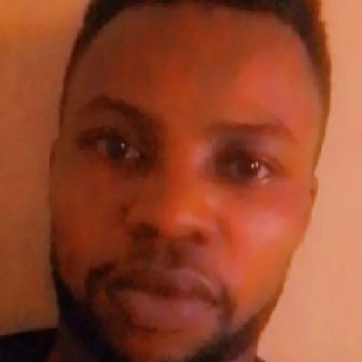 Loyal Dog Photo On Jungo Live