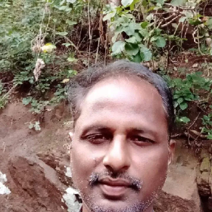 5g Photo On Jungo Live