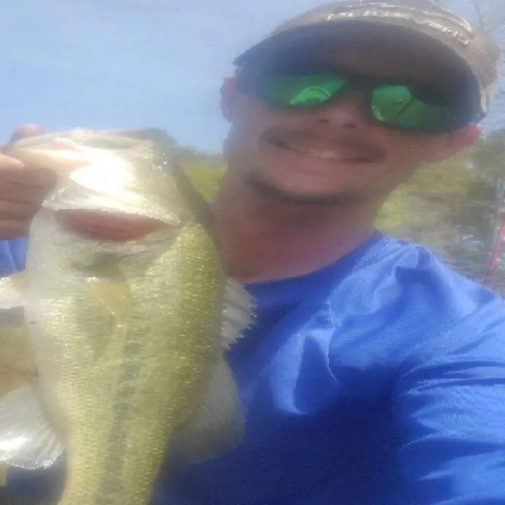 Dongmcdangles Photo On Jungo Live