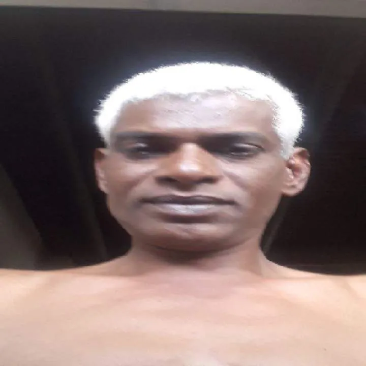 Tinman Photo On Jungo Live