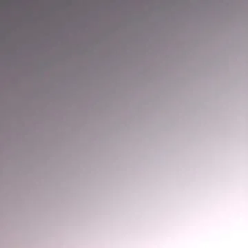 Danit Photo On Jungo Live