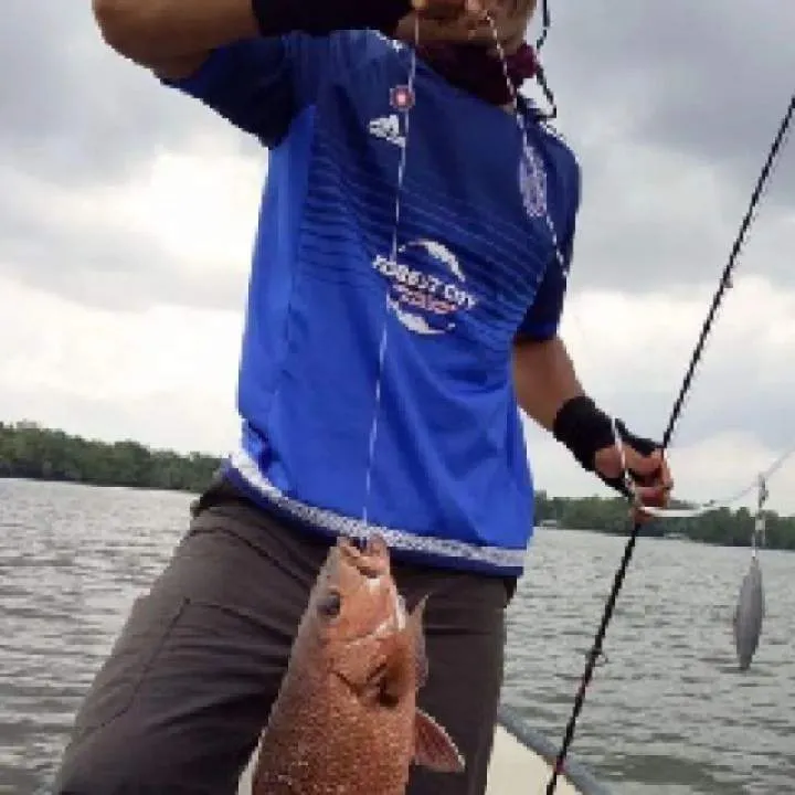 Zack Photo On Jungo Live