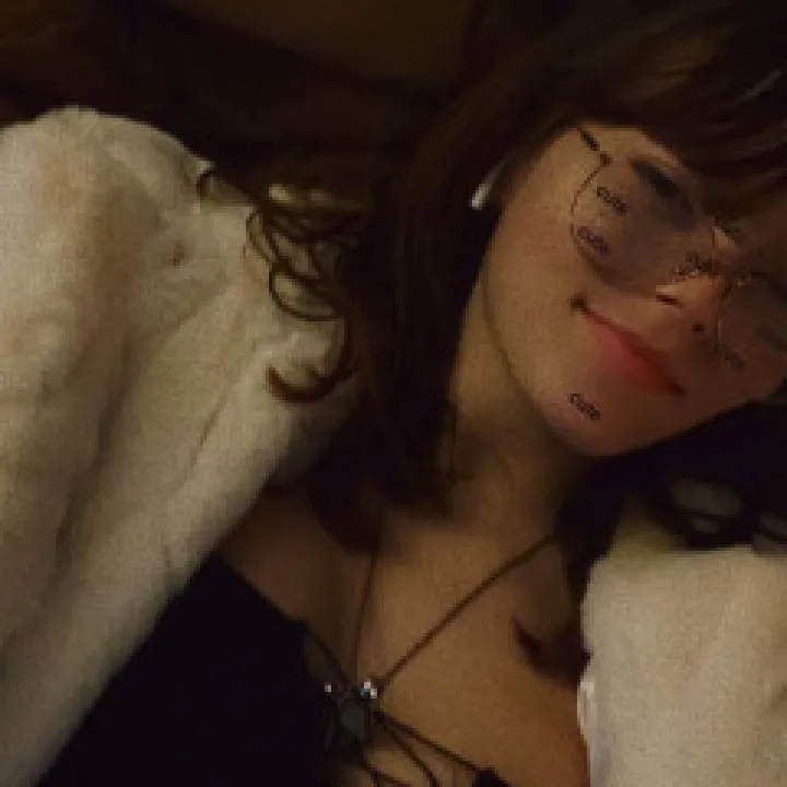 Kitten Photo On Jungo Live