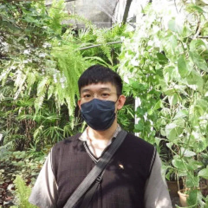 Wax Photo On Jungo Live