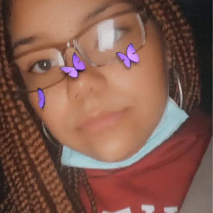 Kitten Photo On Jungo Live