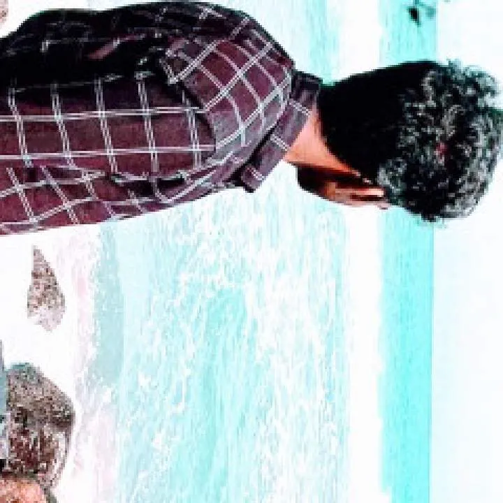 Sweet Boy Photo On Jungo Live