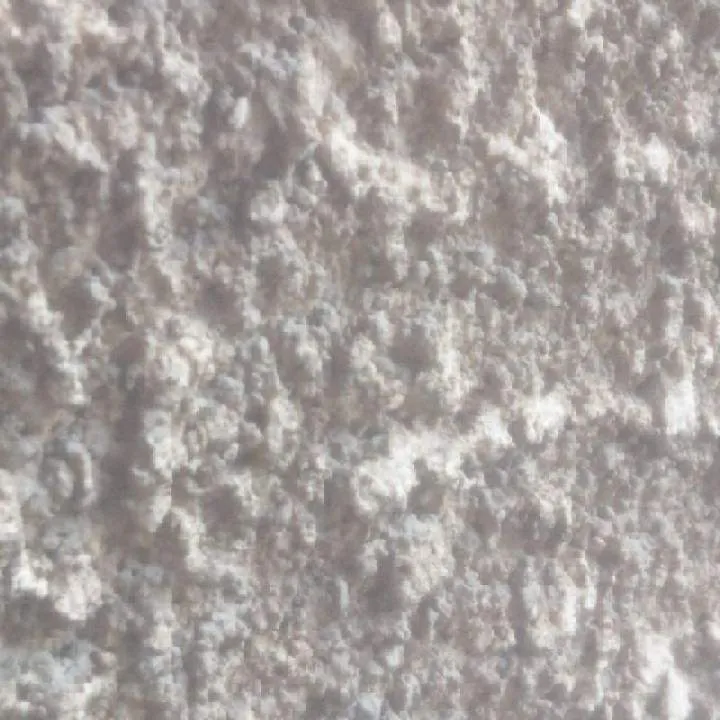 Kiko Photo On Jungo Live