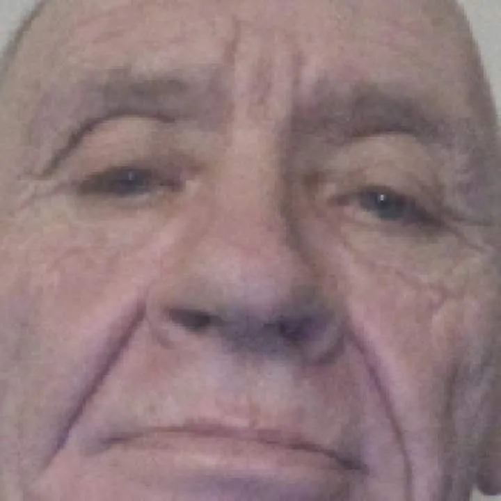 Dicker Photo On Jungo Live