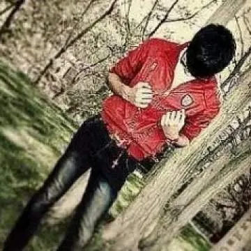 Dszds Photo On Jungo Live