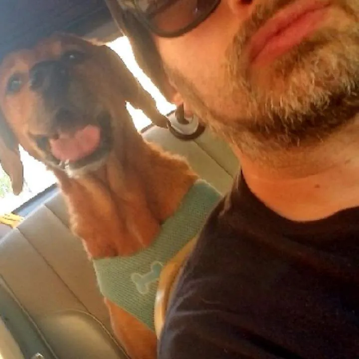 King James Photo On Jungo Live